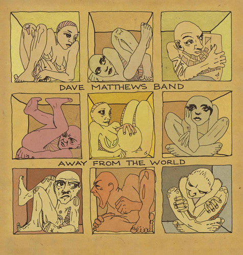Dave Matthews: Away from the World {Vinyl}