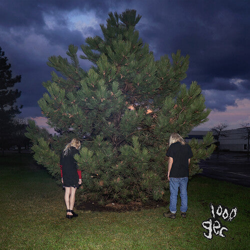 100 gecs: 1000 Gecs {Vinyl}