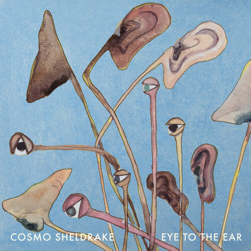 Cosmo Sheldrake: Eye to the Ear {Vinyl}