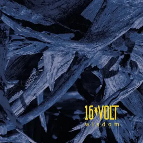 16Volt: Wisdom {Vinyl}